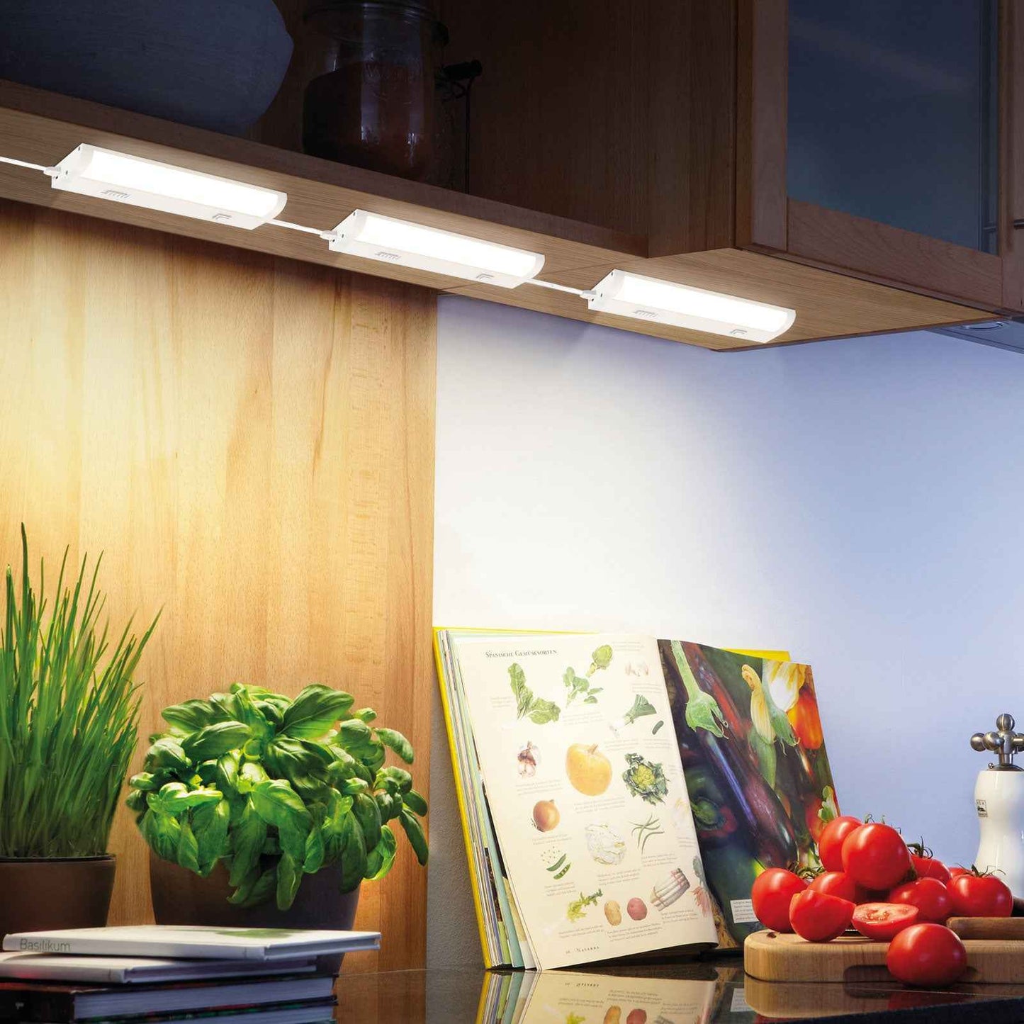 12 Inch 6W LED Under Cabinet Light Dimmble Plug in 5CCT Linkable Hardwired Light 1 pack(副本)