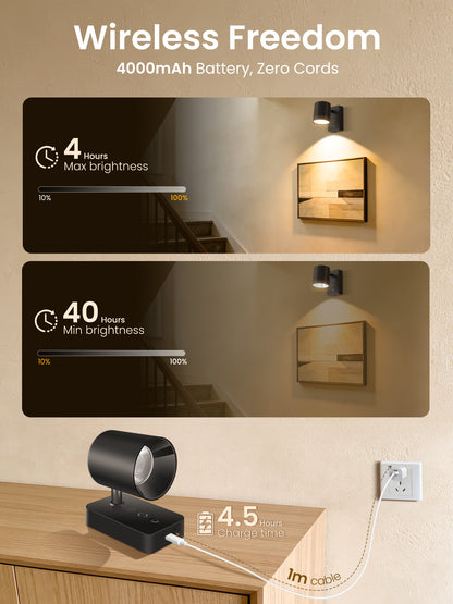 Pack of 2 LED Wall Light RGBCW Dimmable Modern Bedside Lighting Black Fixture Lamp USB